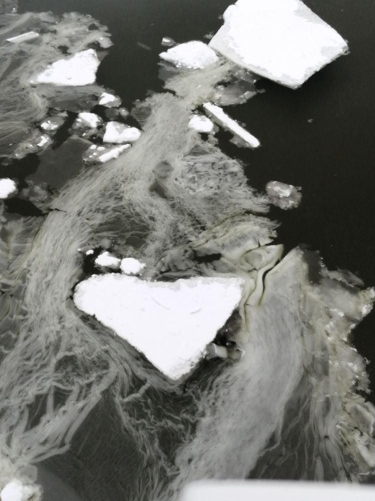 Photograph by Римма Бобрякова