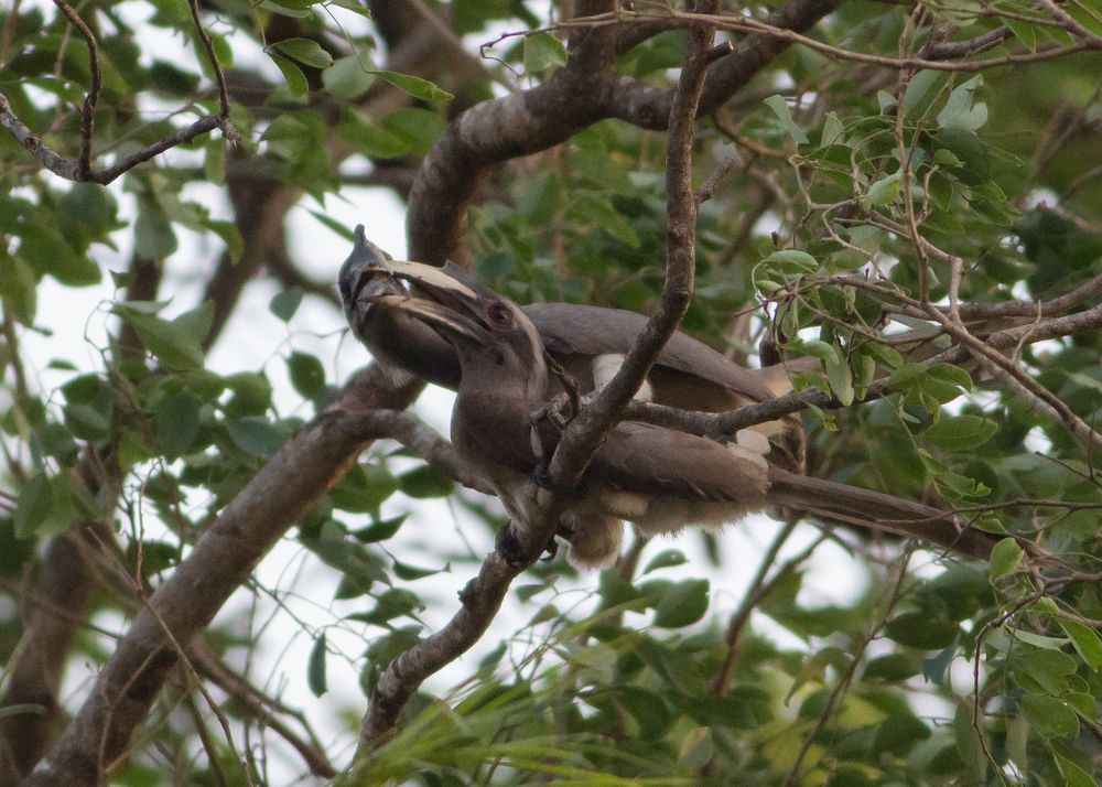 Photograph by Gino Rapheal