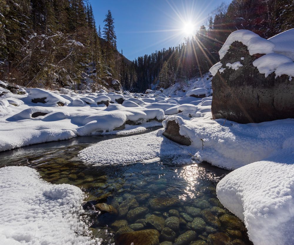 Фотография автора Oleg Matronitskiy