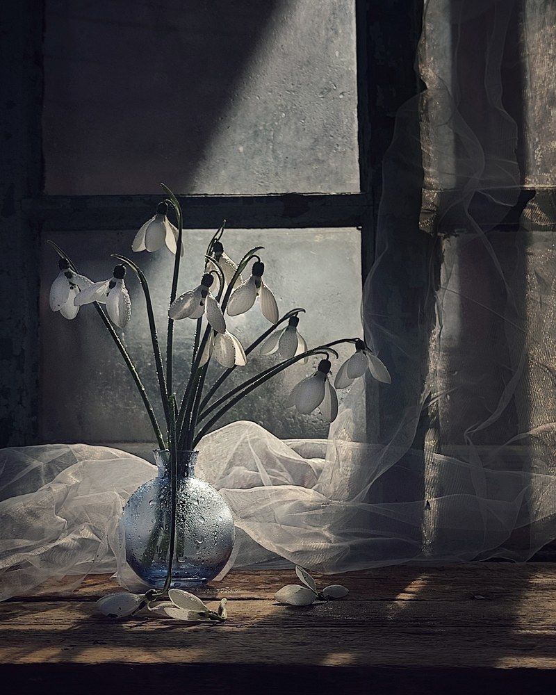 Фотография автора Инга Шевелёва