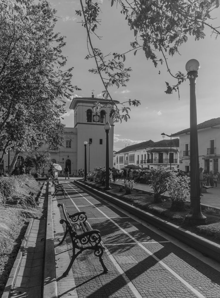 Afternoons in the Square
