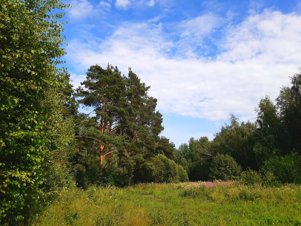 Photograph by Екатерина