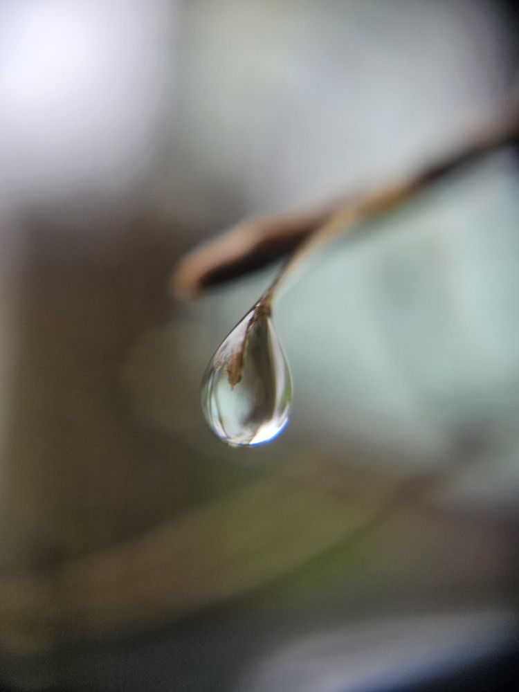 Photograph by Karolina Żółtowska