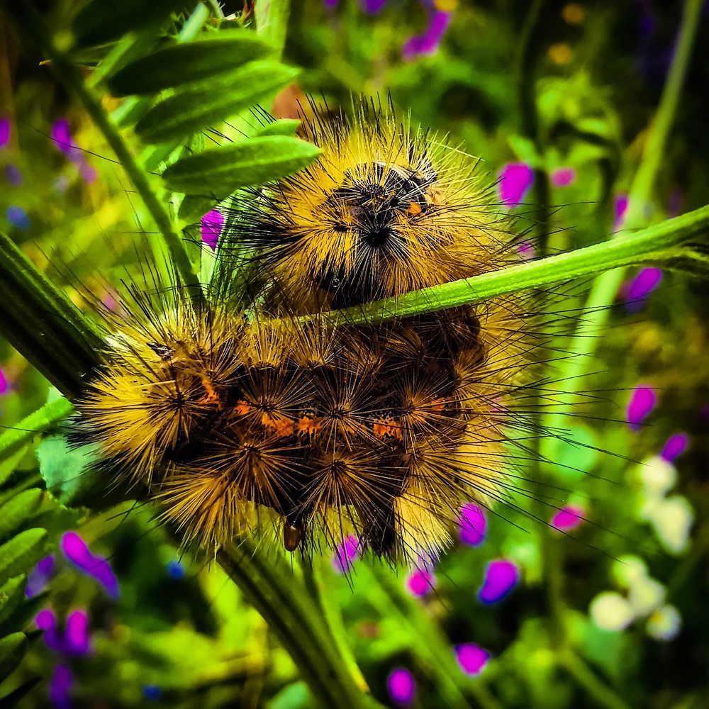 Photograph by Nikolett Mengyi