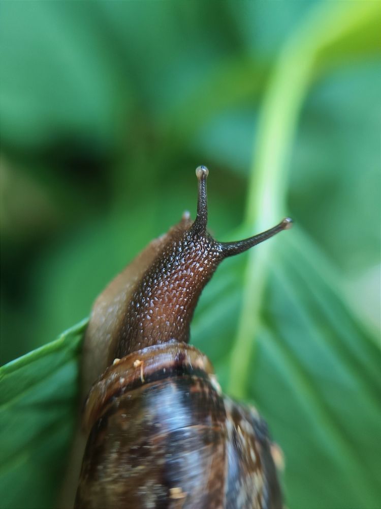 Photograph by Виктория Дайлидова