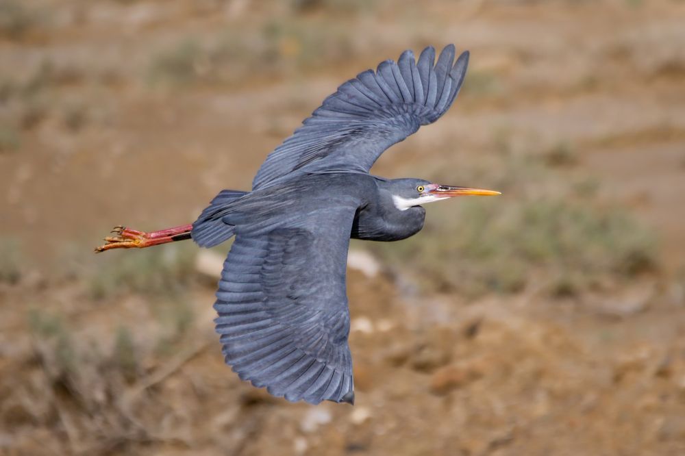 Photograph by HASSAN ROKNI