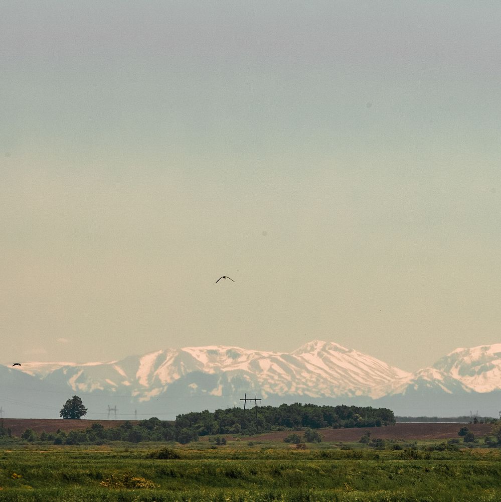 Photograph by Александр Хитров