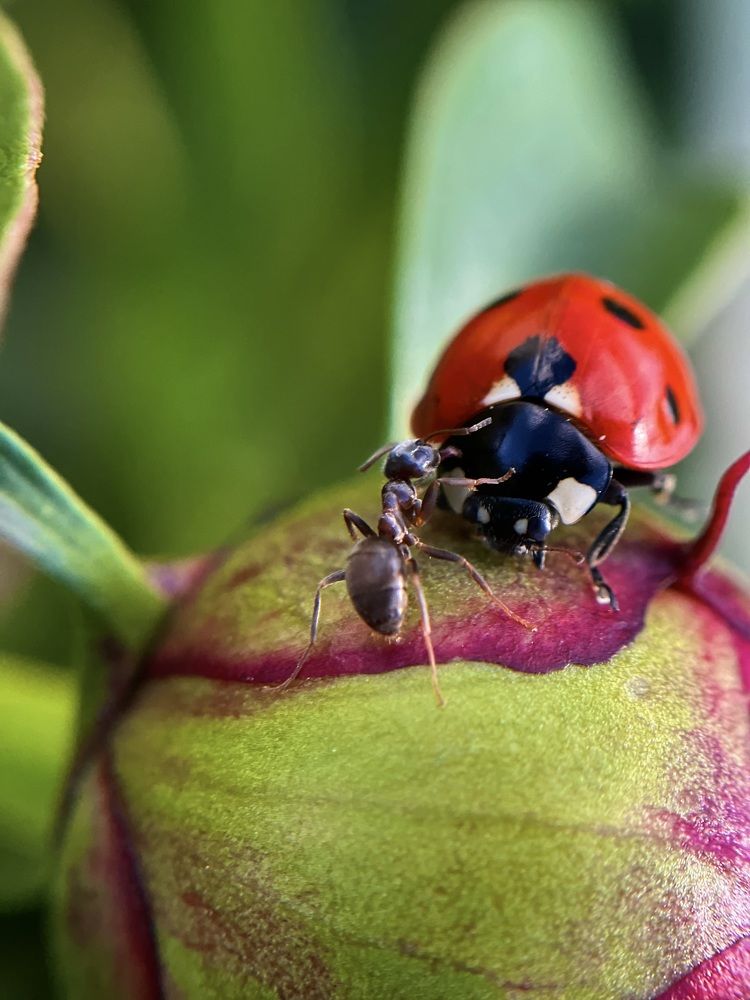 Photograph by Yulia Zhilinskaya