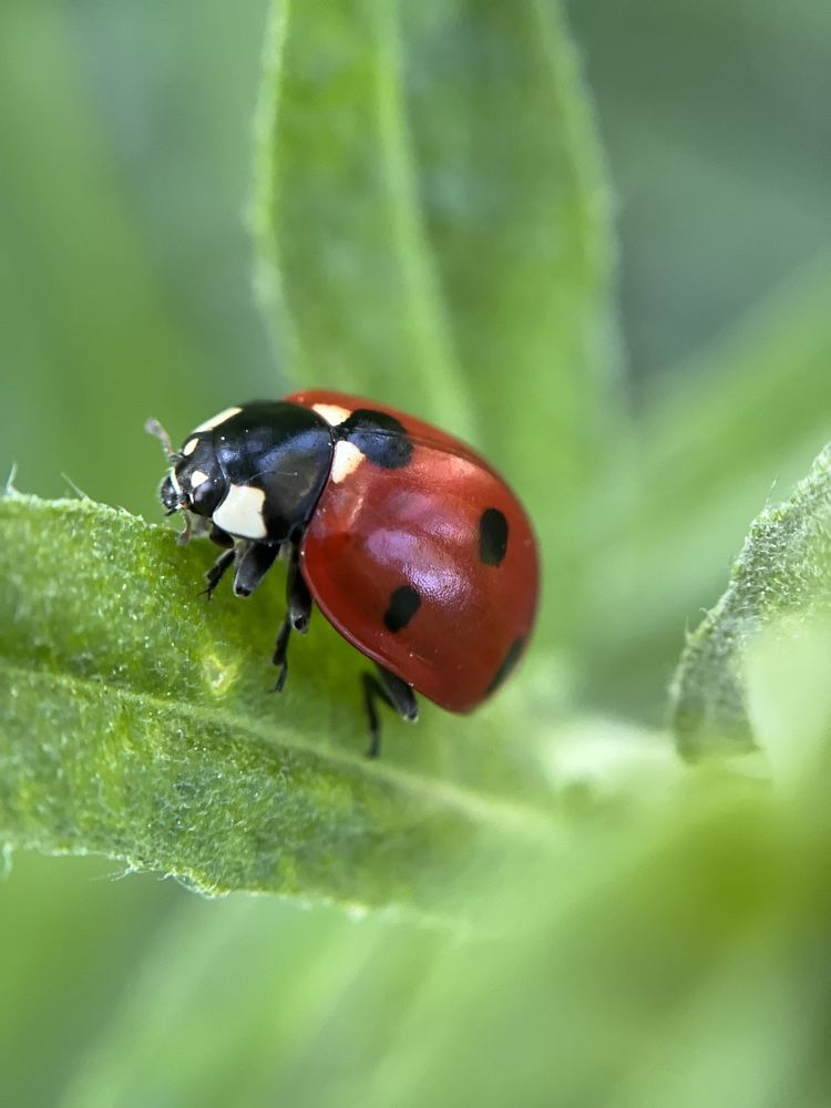Photograph by Yulia Zhilinskaya