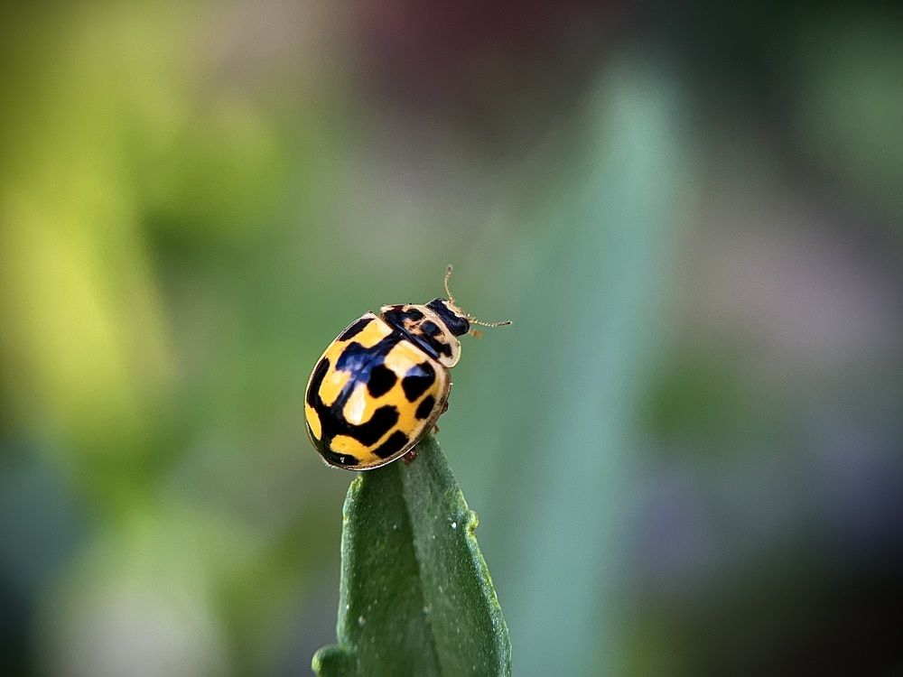 Photograph by Yulia Zhilinskaya