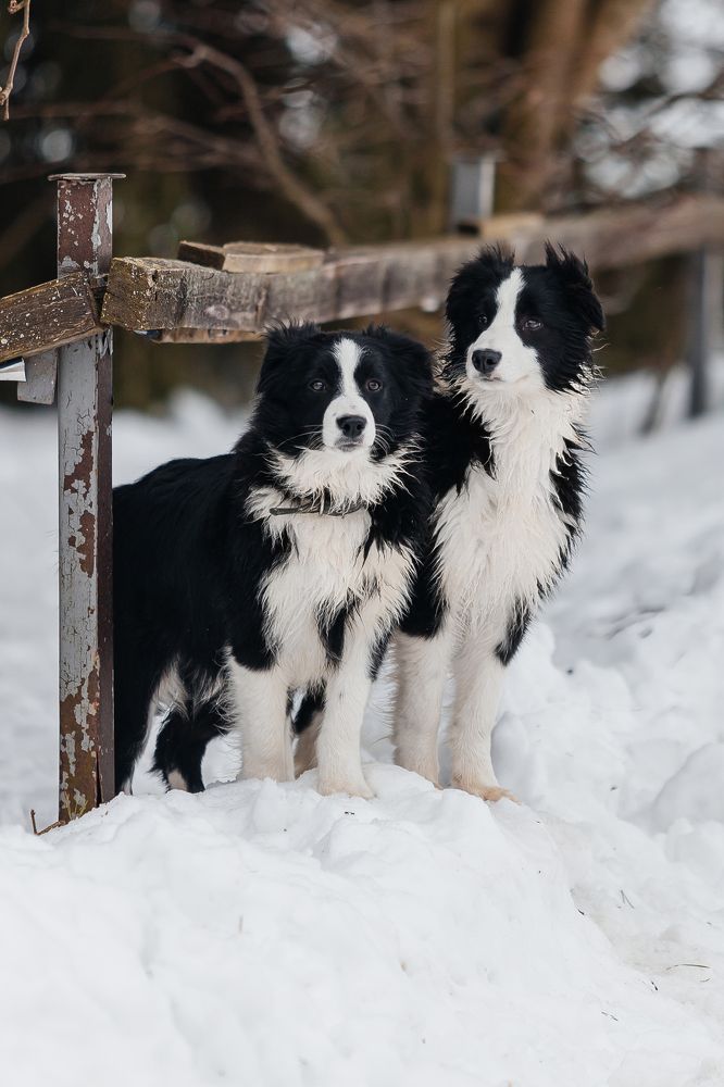 Photograph by Светлана Федяева