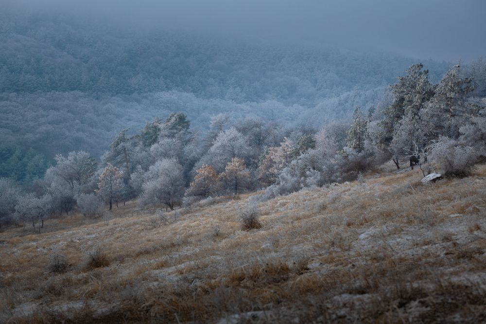 Photograph by Saba Gloveli