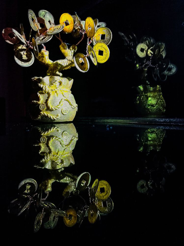 Photo #10455572