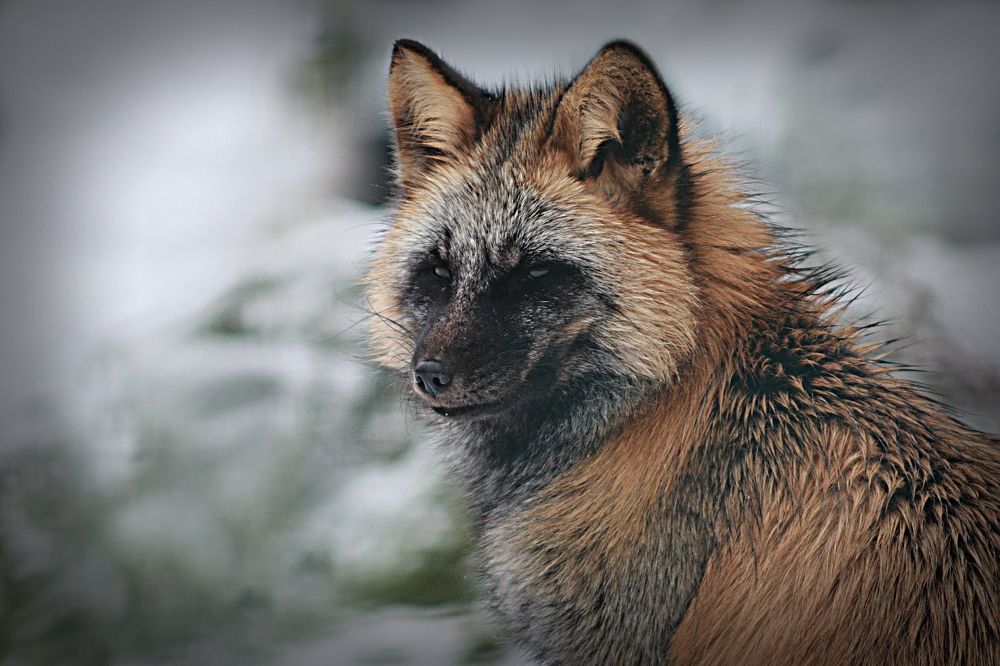 Photograph by Эдуард Попов