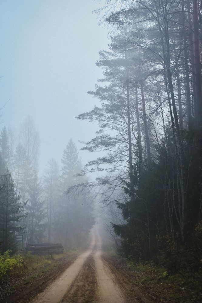 Photograph by Наталья Сергеева