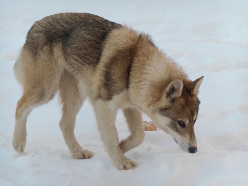 Photograph by Александр Кизим