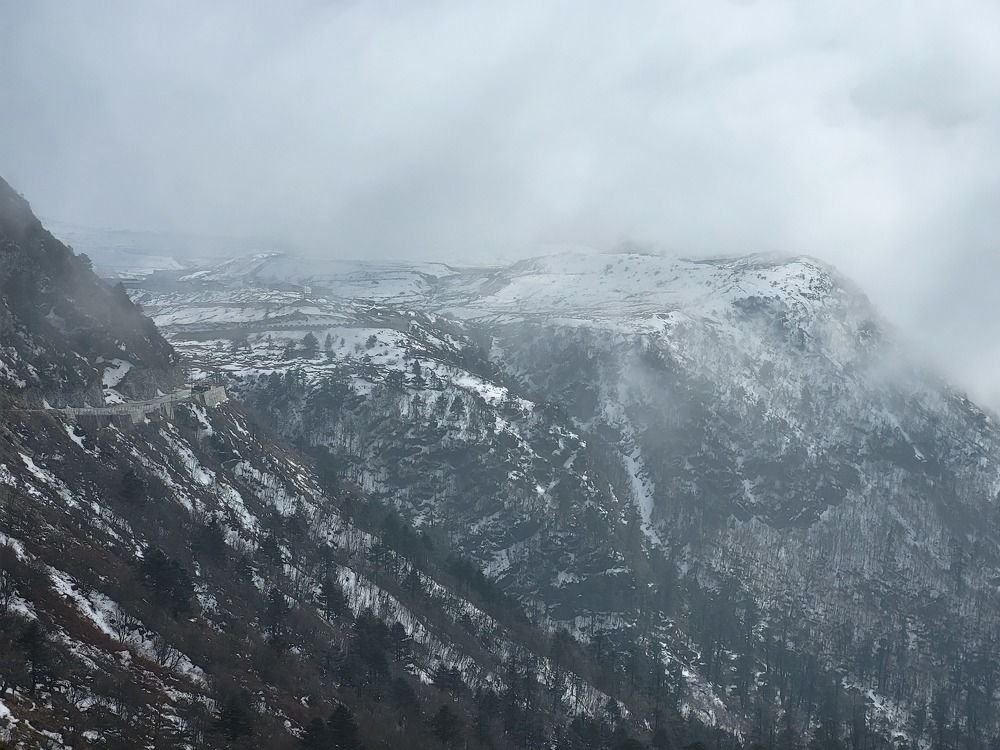 Photo #10455619