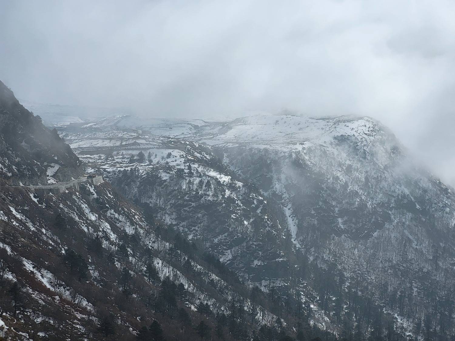 Photo #10455619
