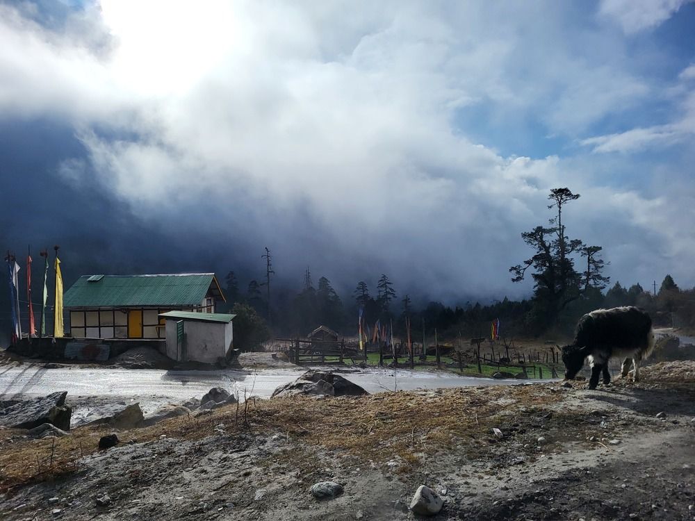 Photo #10455625