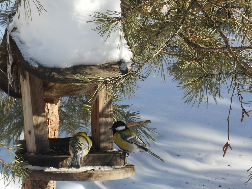 Photograph by Александр Кизим