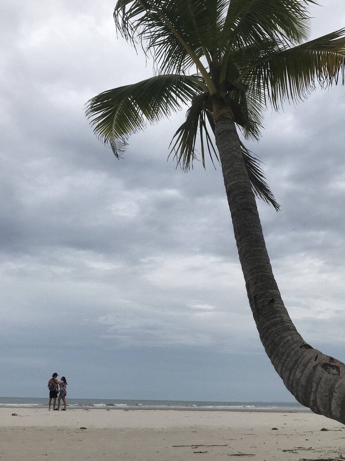 Photo #10455644