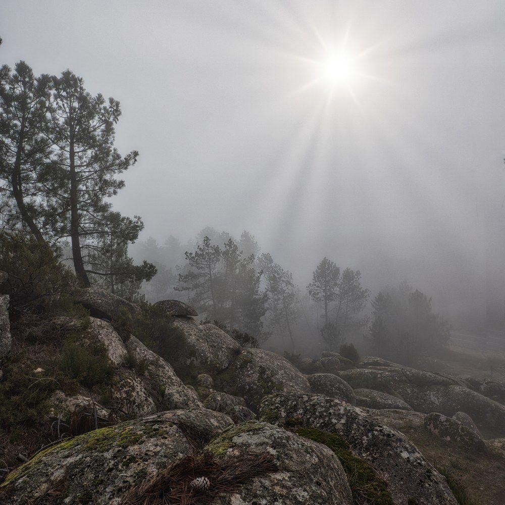 Фотография автора Rui Martins