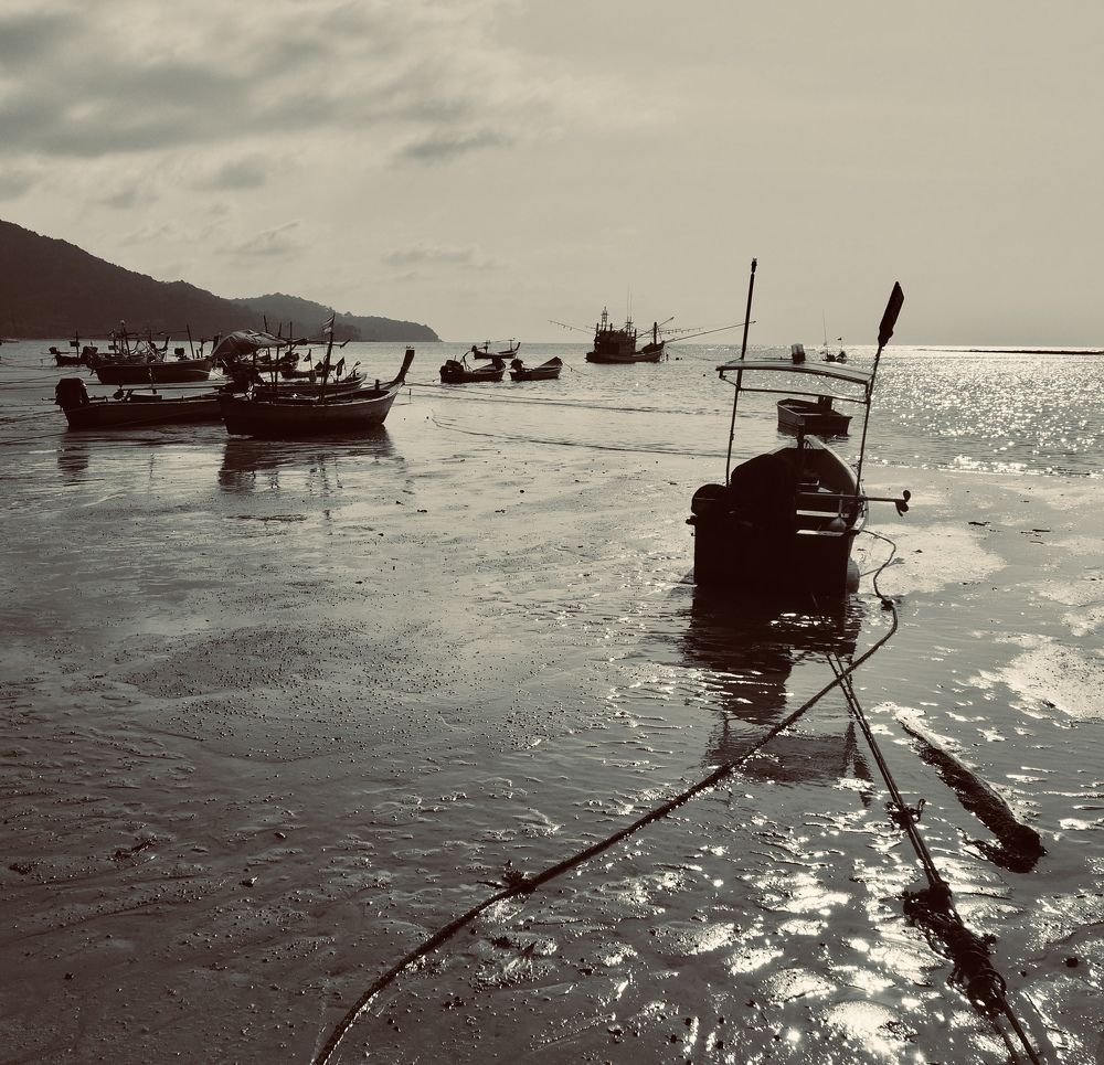 Photograph by Сергей Криволапов