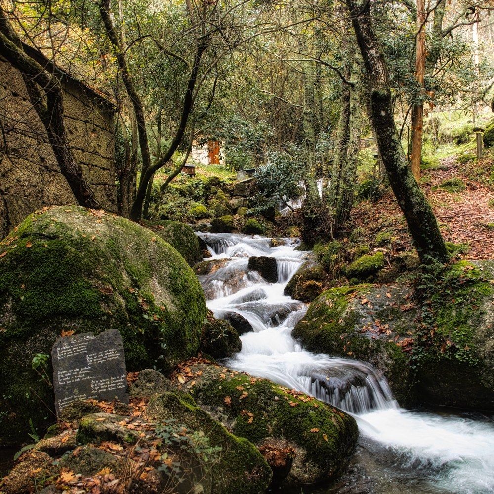 Фотография автора Rui Martins