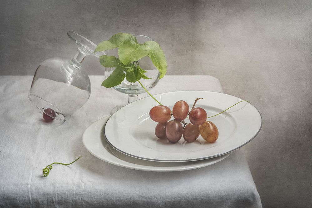 Photograph by Солодар Виктория