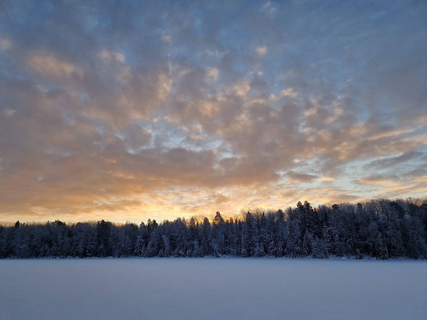 Photo #10455705