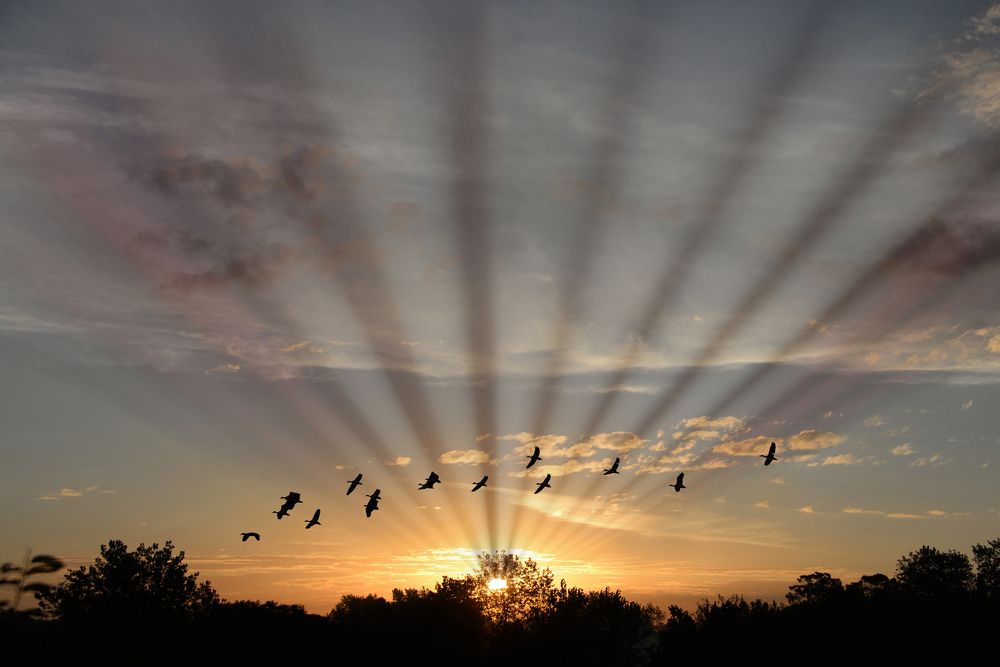 Photograph by Ricardo Kimmich