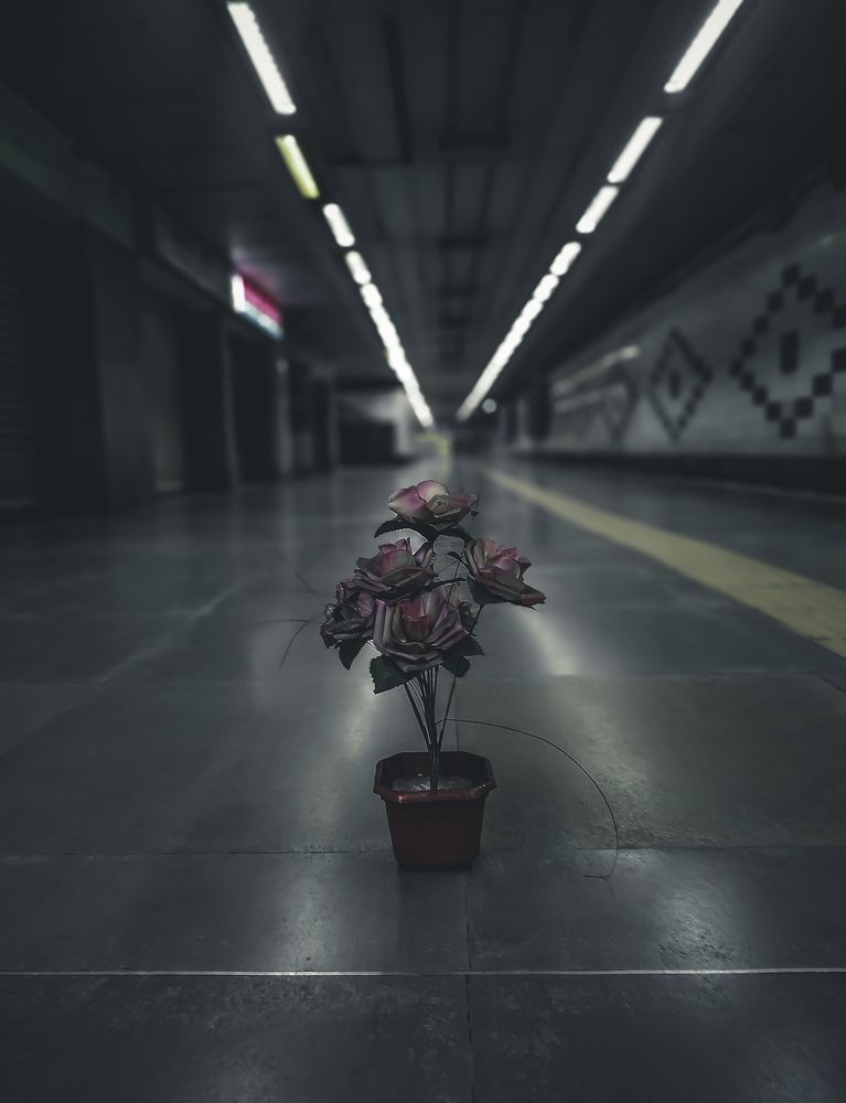 Фотография автора Sankhasis Das