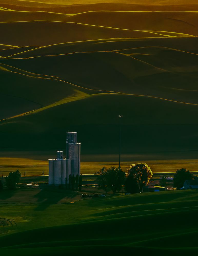 Photograph by Christabel Way