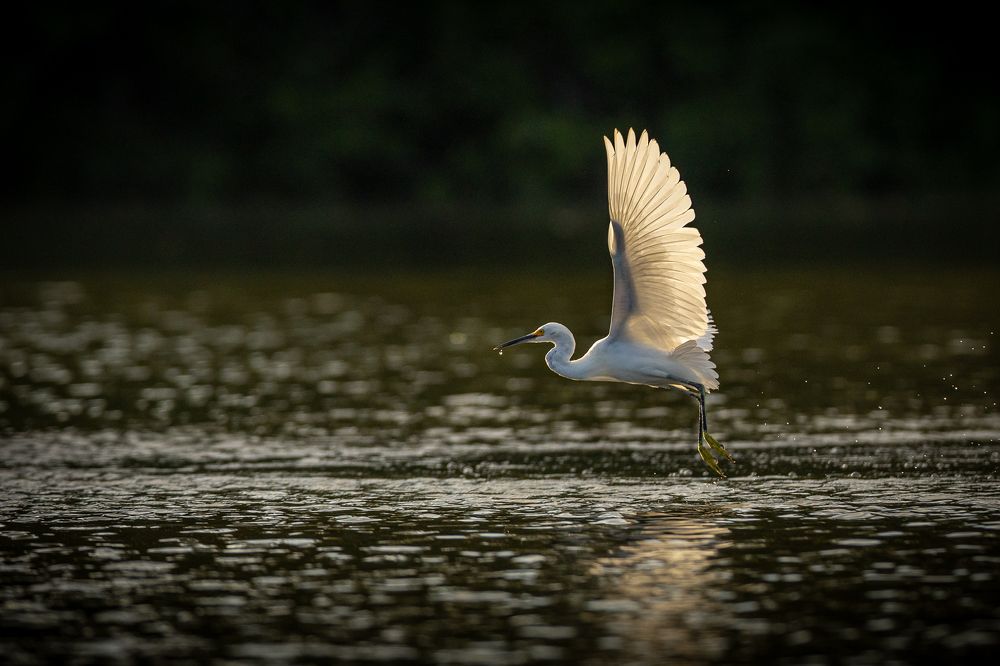 Photograph by Ricardo Ferreira