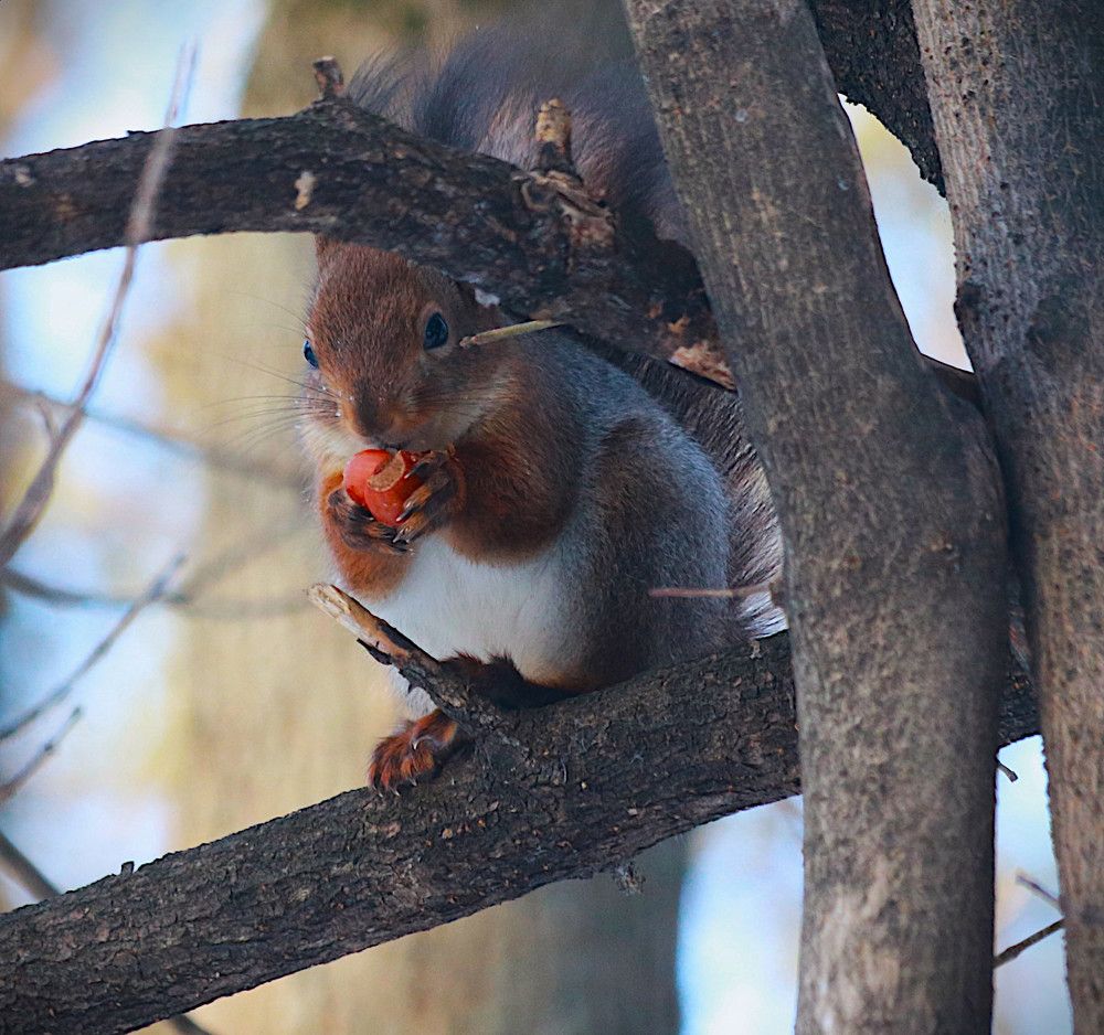 Photograph by Гагик Саркисян