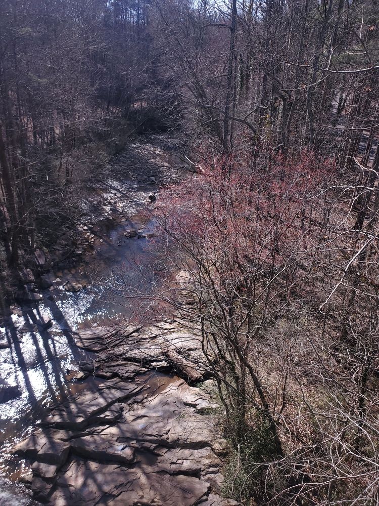 Photograph by Elena Shliachkova