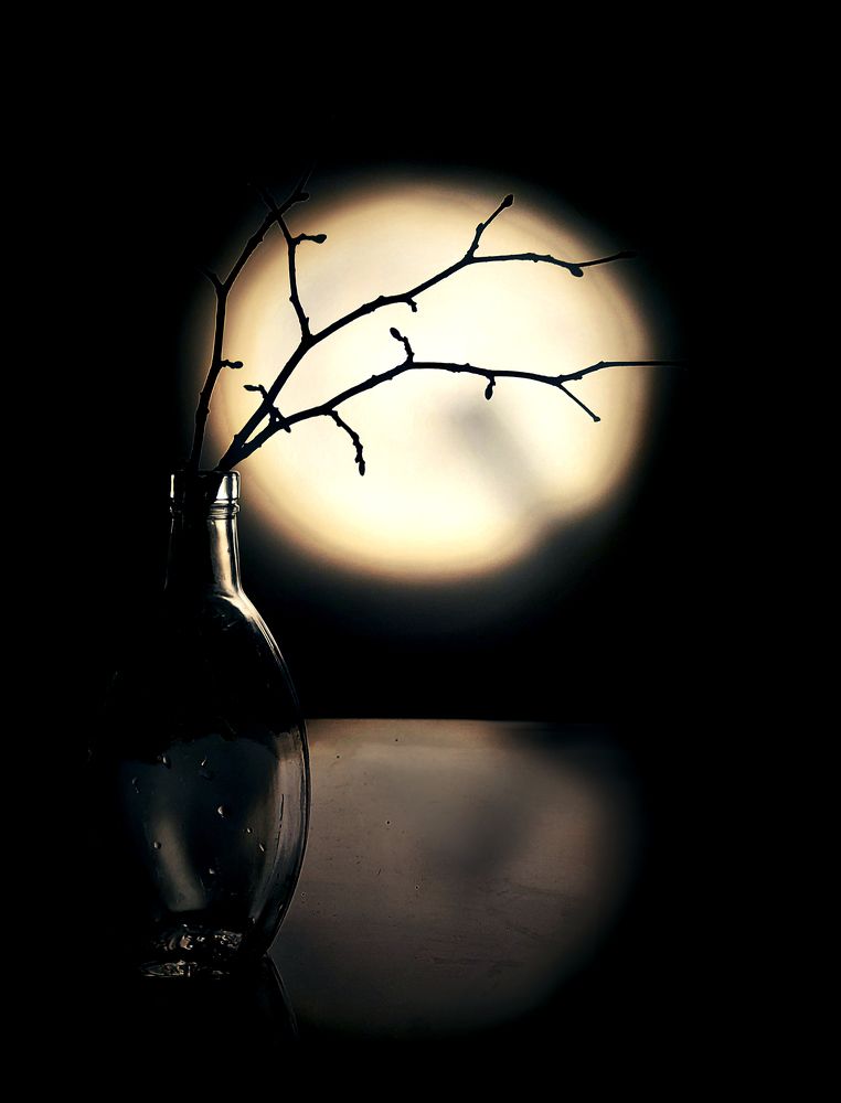 Photograph by Елена Кирикова