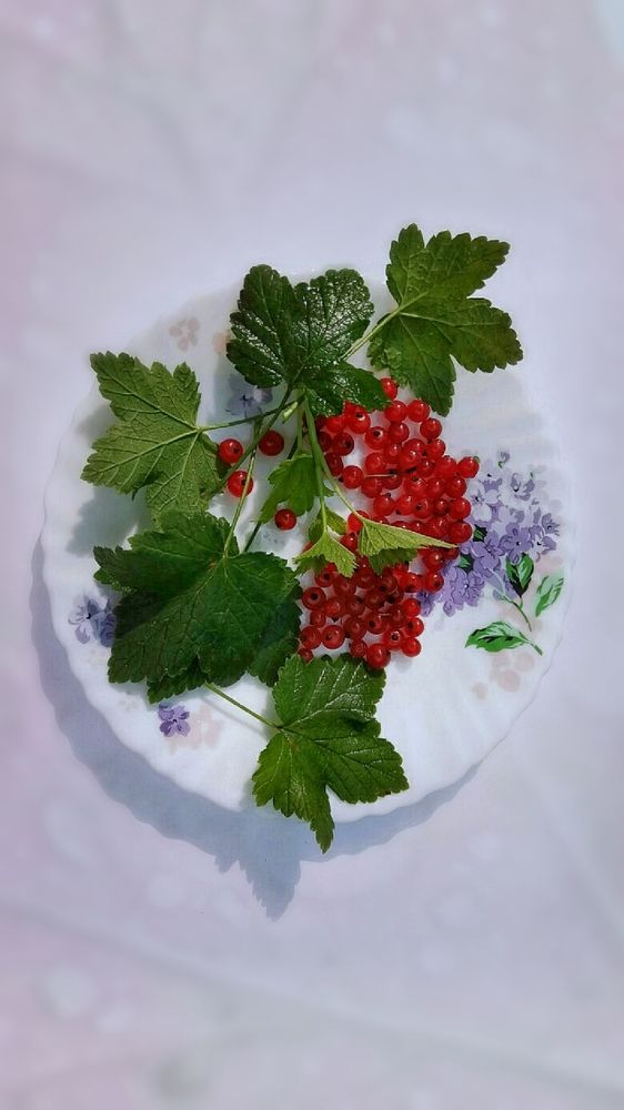 Photograph by Алла Холодова