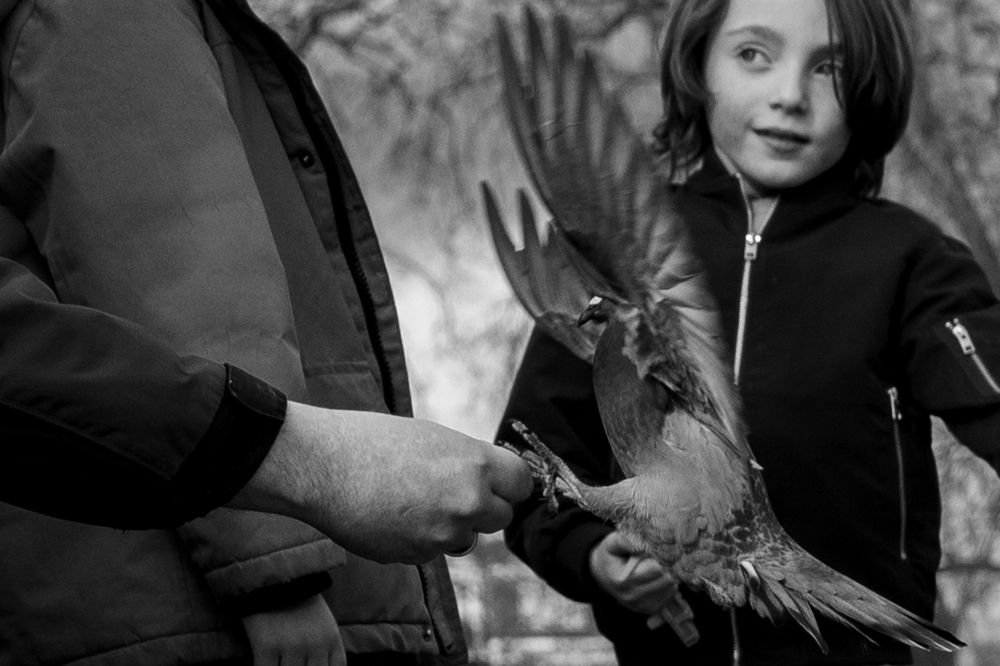 Фотография автора OVIDIU-IOAN TICU