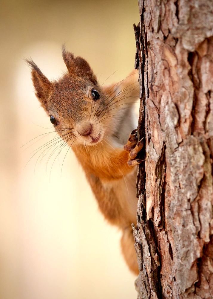 Photograph by Alexey Romanov