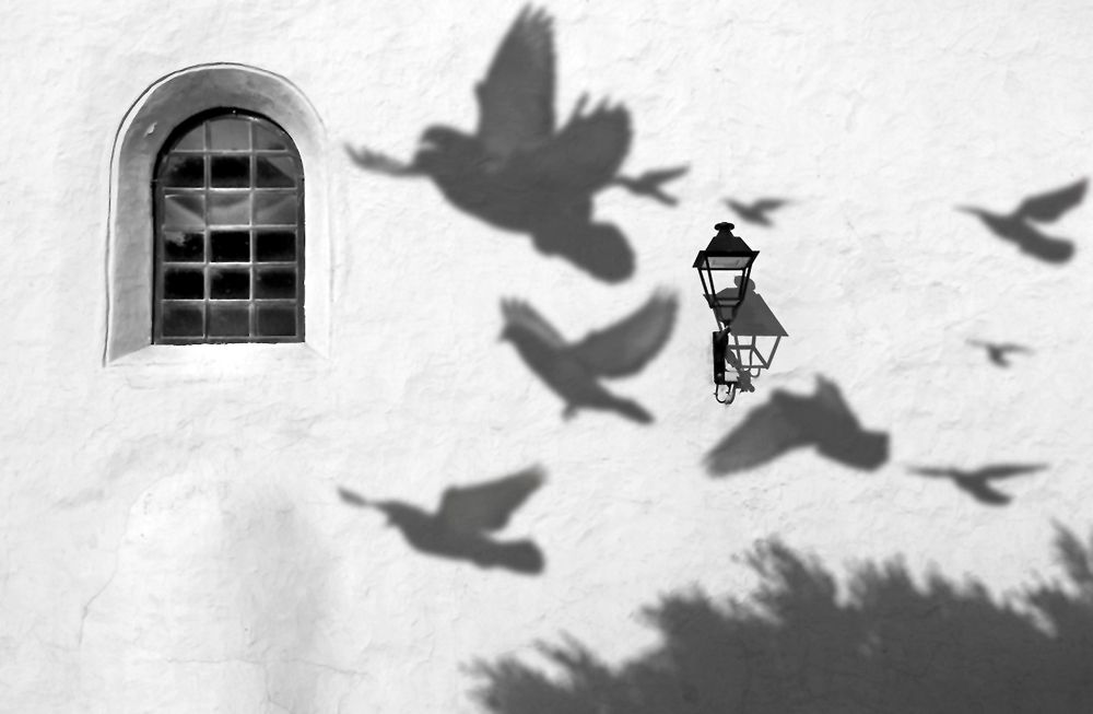 Фотография автора Lavadinho Joao