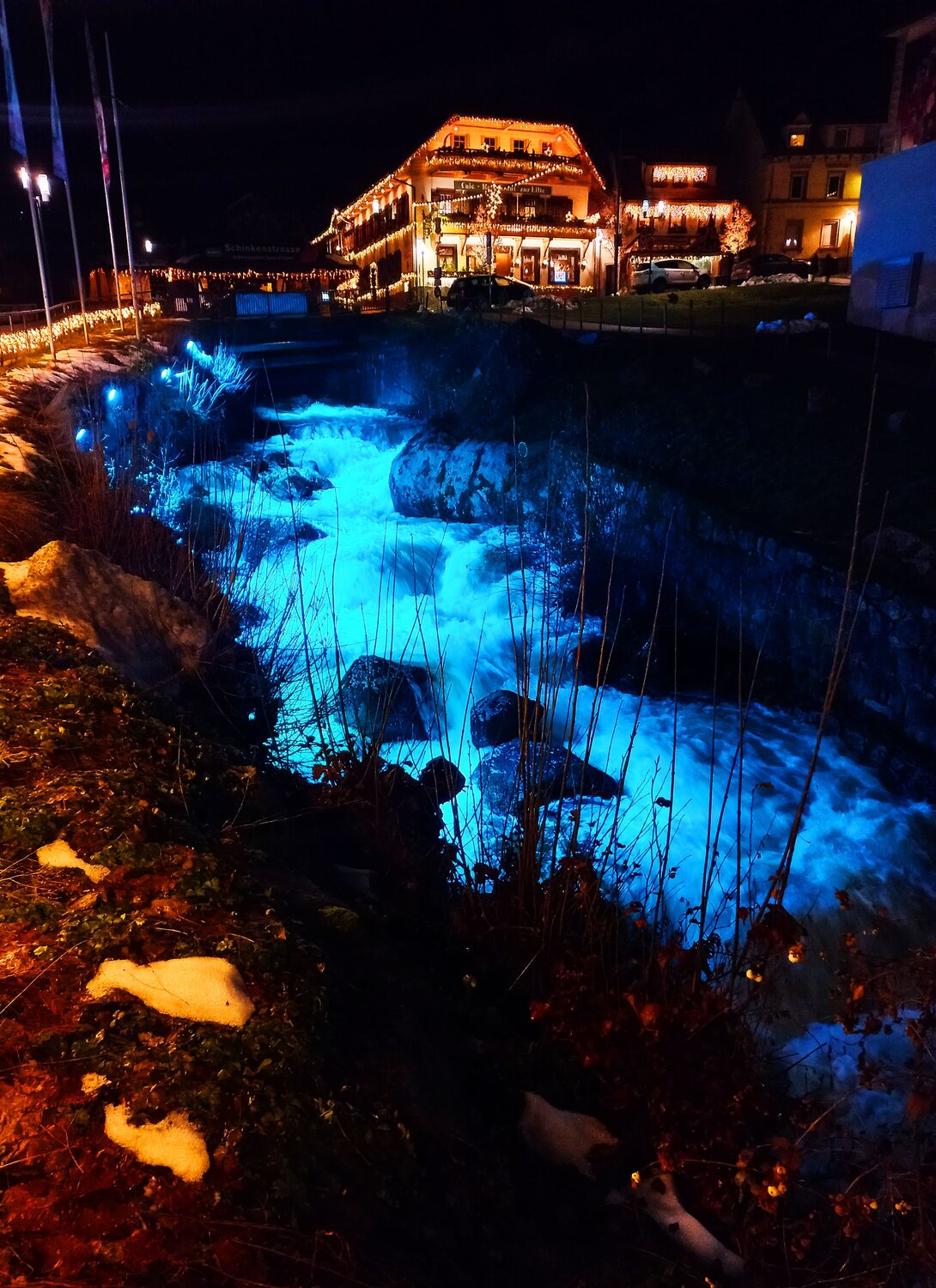 Photo #10456092