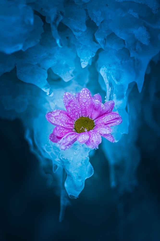 Photograph by Анна Осинцева