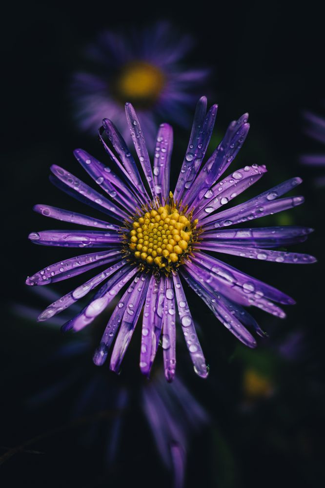 Photograph by Анна Осинцева