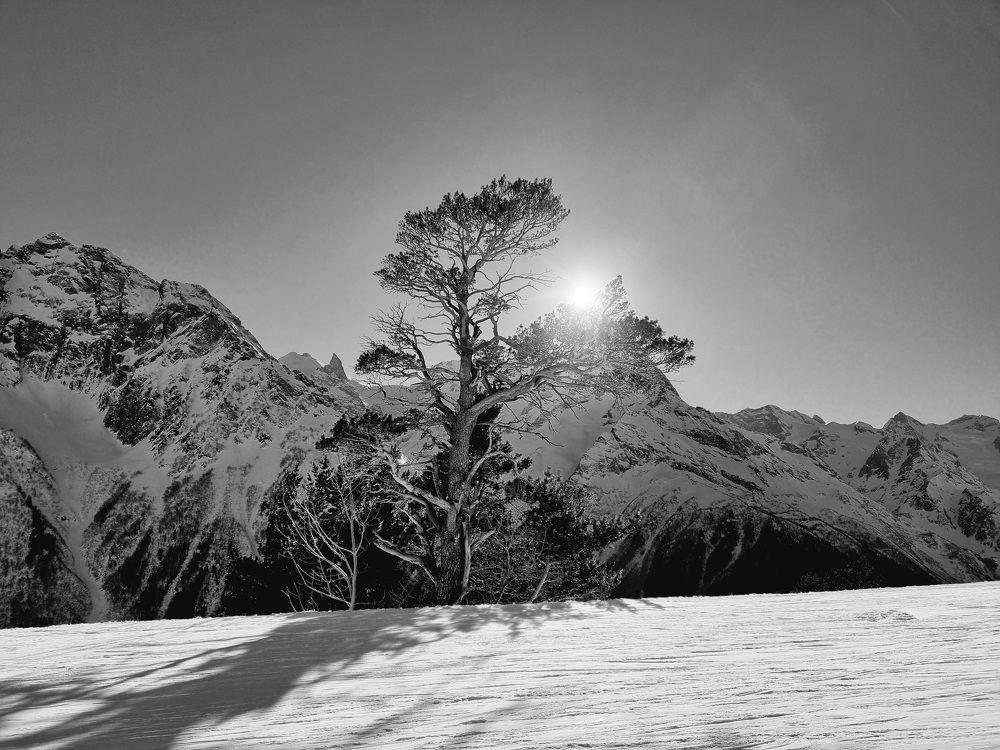 Photograph by Максим Иванов