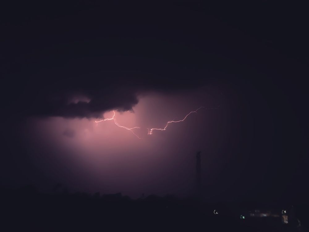 Photo #10456281