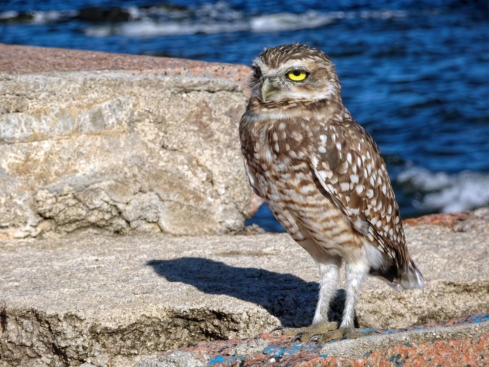 Photograph by Marcelo Luzzi