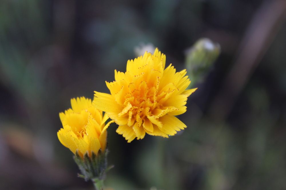 Photograph by Юлия Рыбинцева