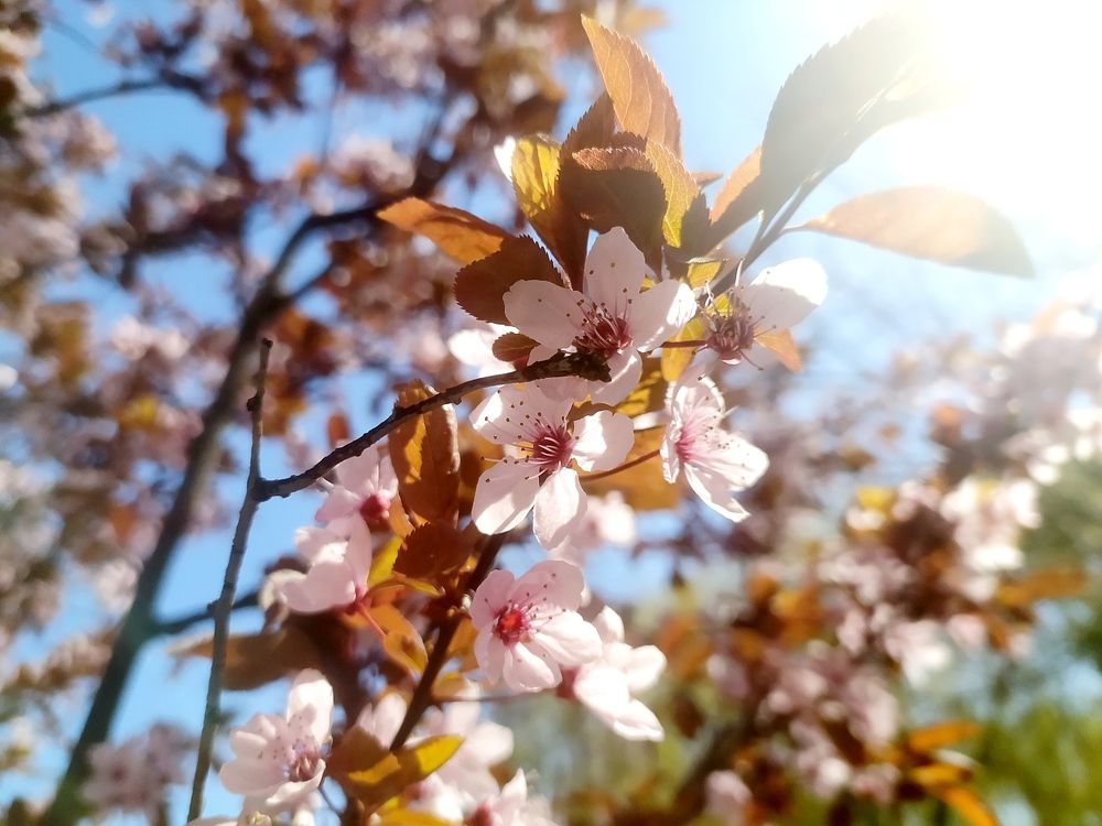 Photograph by Ирина Половцева