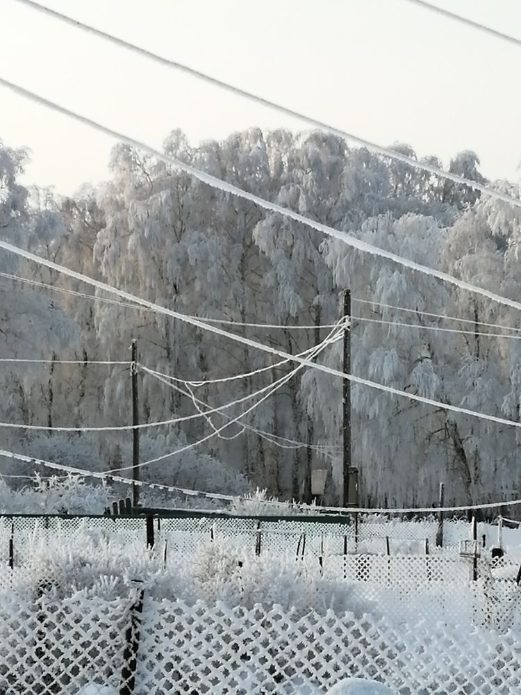 Photograph by Галина Попова
